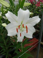 [5361 Sotsji DJ No02.JPG]